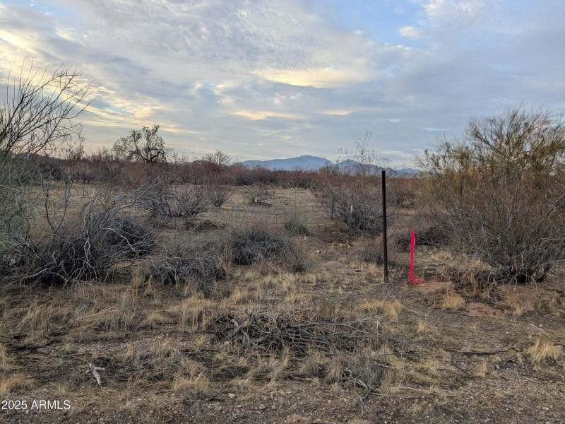 328b14ba-f2e8-49ed-9543-58726f3d3967