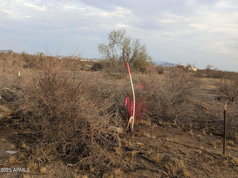 115595de-878a-45b8-ab74-d61f1d81a1c4