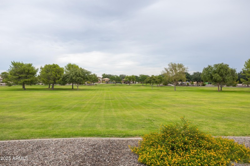 Beautiful Community Park