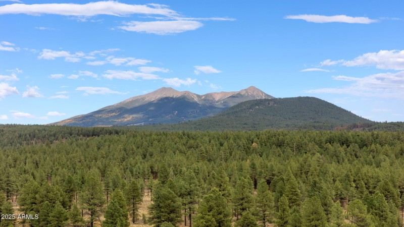 4-web-or-mls-DJI_20251008151048_0494_D