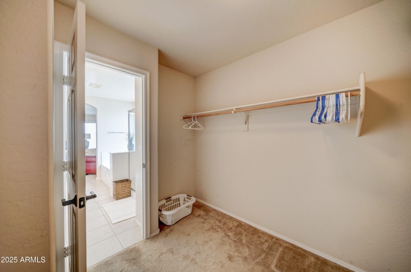 29293 N Yellow Bee-36