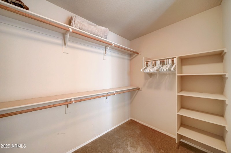 29293 N Yellow Bee-35