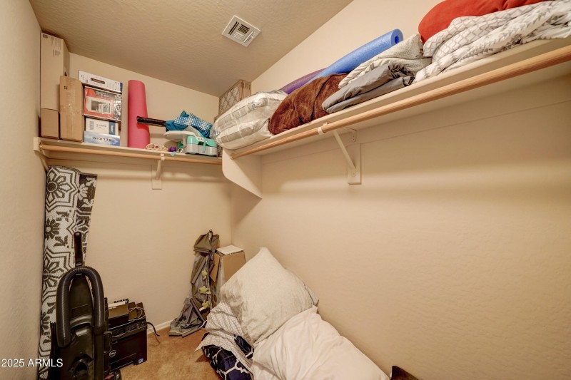 29293 N Yellow Bee-29