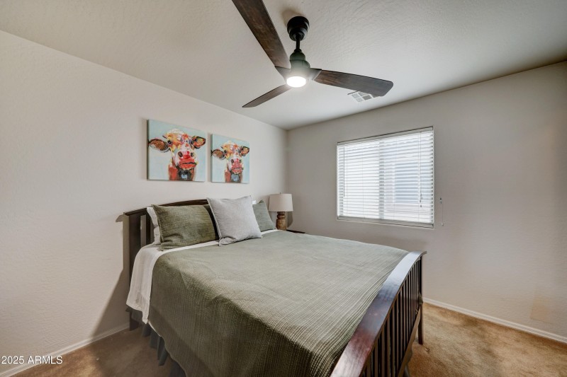 29293 N Yellow Bee-24