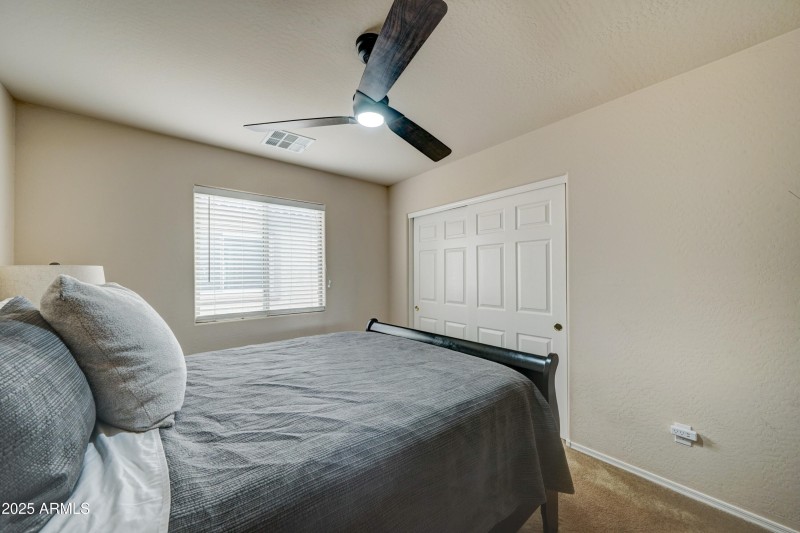 29293 N Yellow Bee-21