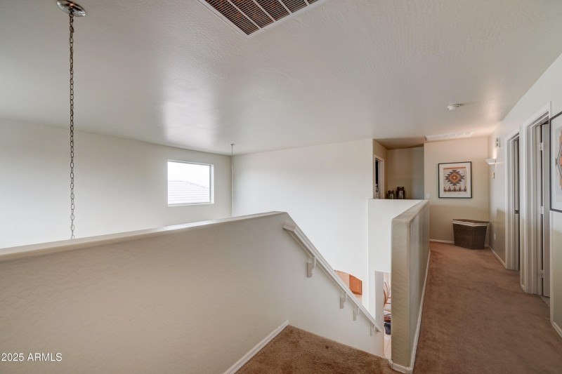 29293 N Yellow Bee-20