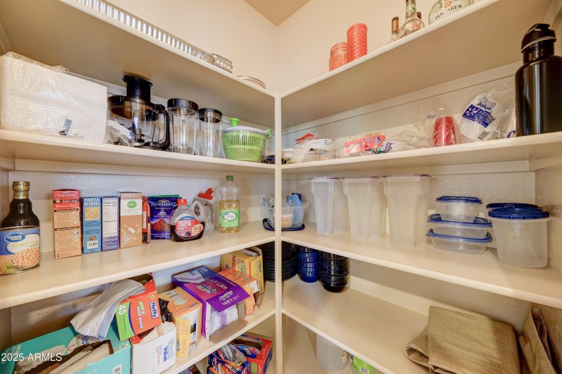 29293 N Yellow Bee-14