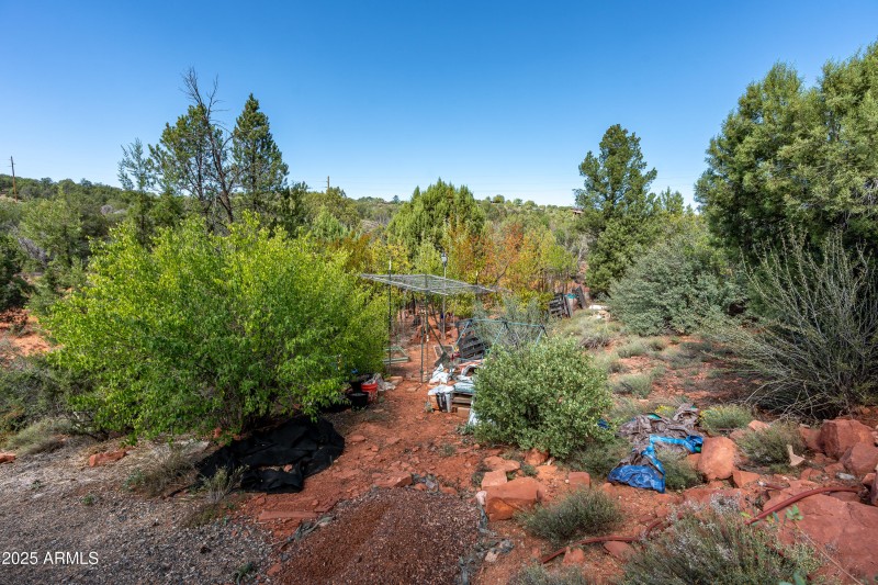 Your Very Own Orchard