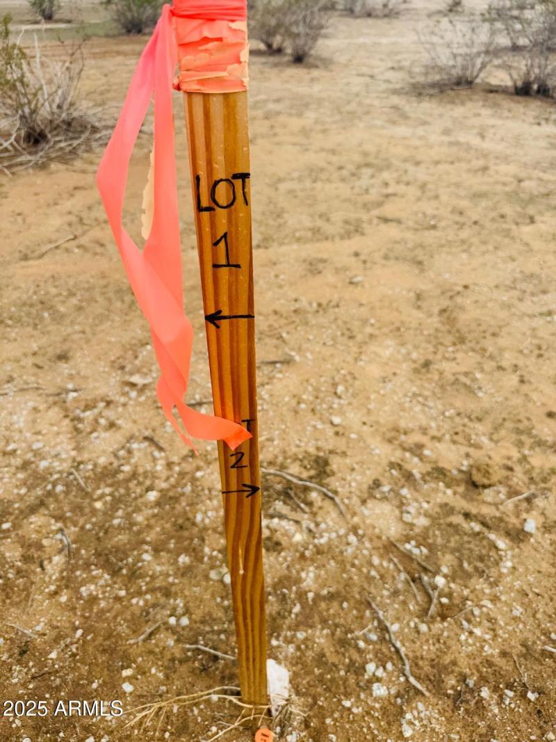 67f39f6c-adb3-4fdf-903d-de46f84245d2