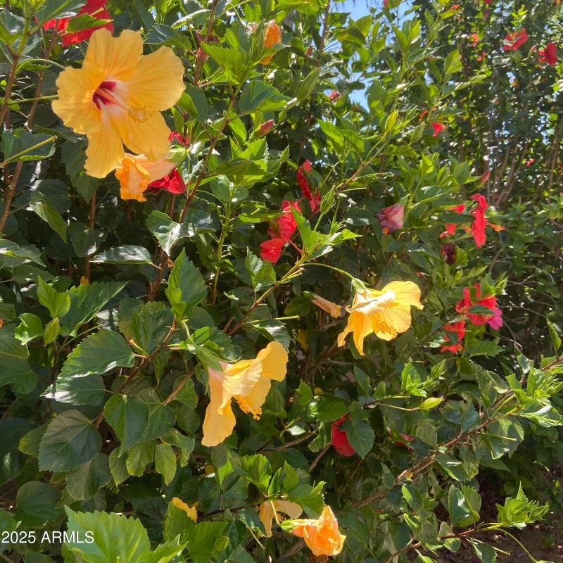 FullSizeRender-preview