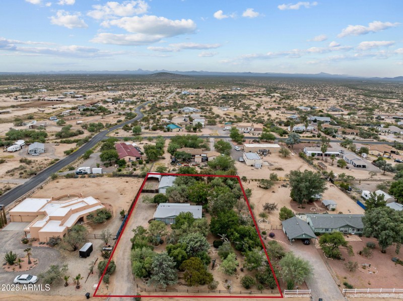 3-web-or-mls-staghorn wendy final