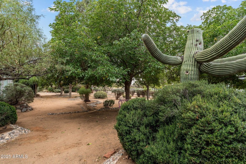 6-web-or-mls-DSC08860