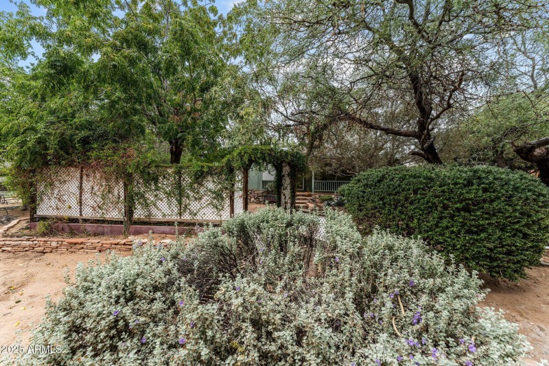 9-web-or-mls-DSC08875