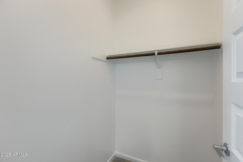 Owners Walk in Closet