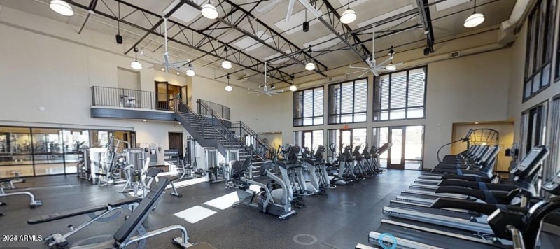 sapium inside of gym