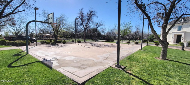 Basketball Court