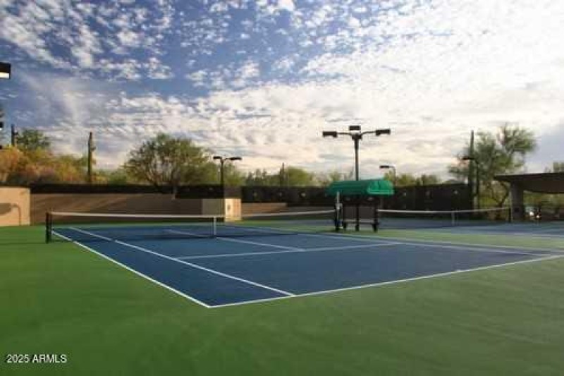 winfield tennis