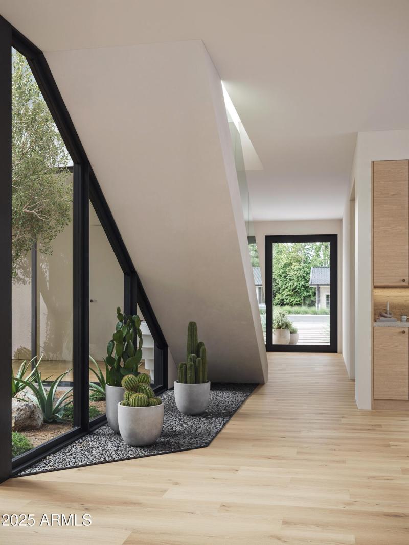 M2_closeup2_it01_2024-08-30