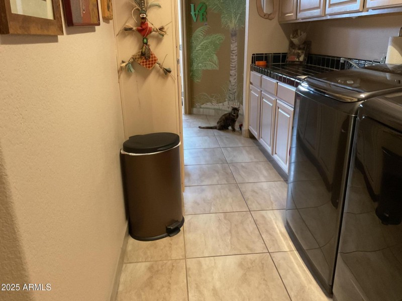 PLEASE, DON'T LET THE KITTY OUT