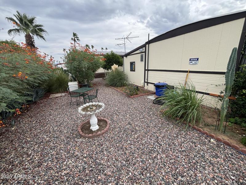 Back yard