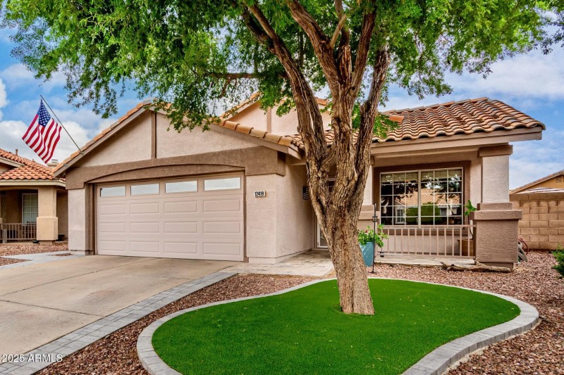 Turf and Mature Tree in Front Yard