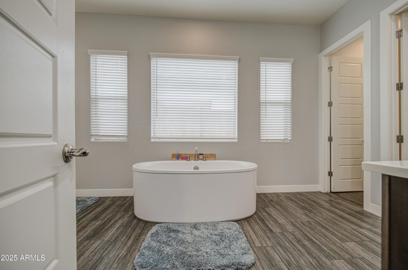 Primary Bath GORGEOUS TUB!