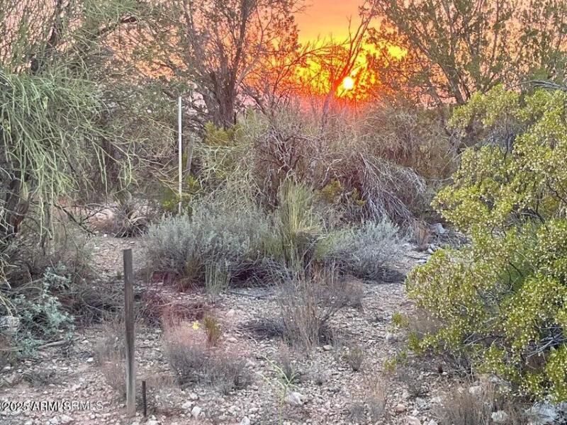 20250721212315599724000000-o