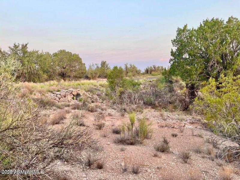 20250721212332803569000000-o