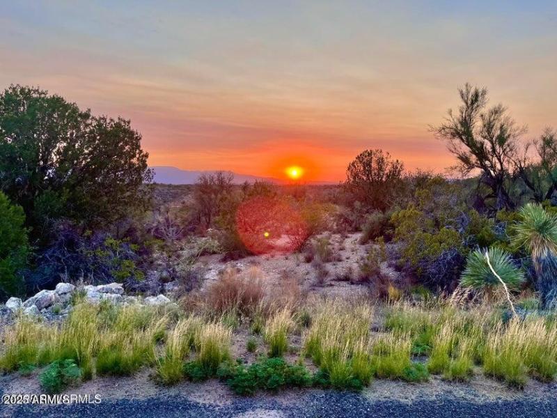 20250721212314314071000000-o