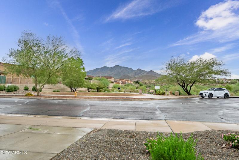 Daisy Mountain Views