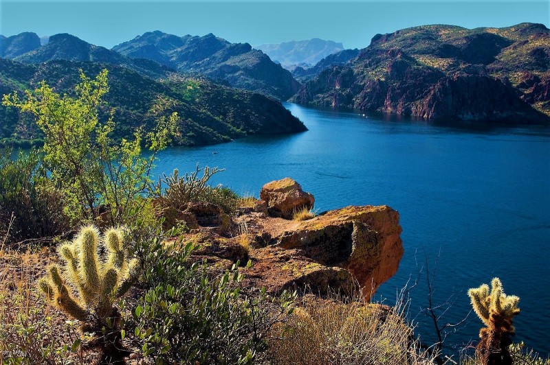 Saguaro Lake