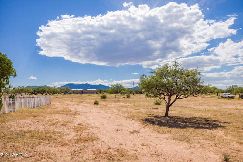 2980-williams_mls-22