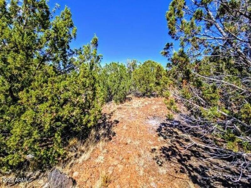 8546 Silver Creek Dr Pic 4