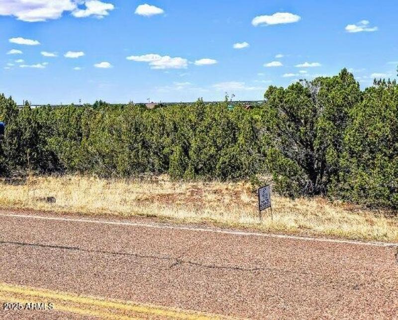 8546 Silver Creek Dr Pic 6