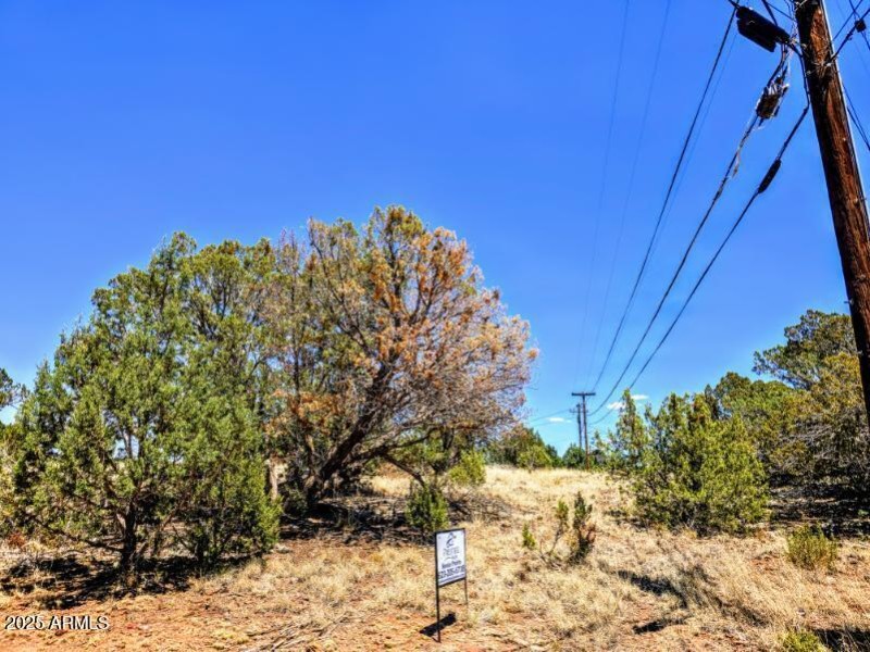 1939 Daggs Cir Pic 4