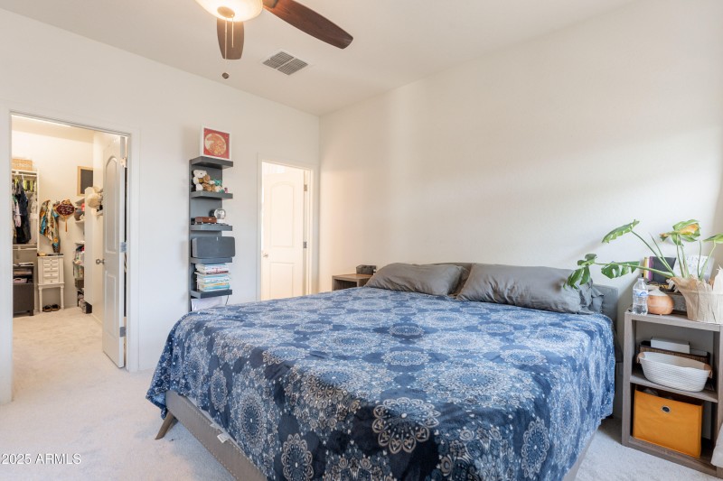 17-print-Grenadine-17