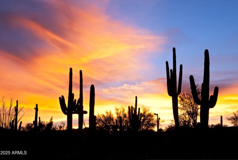 16 Sonoran Desert Lifestyle
