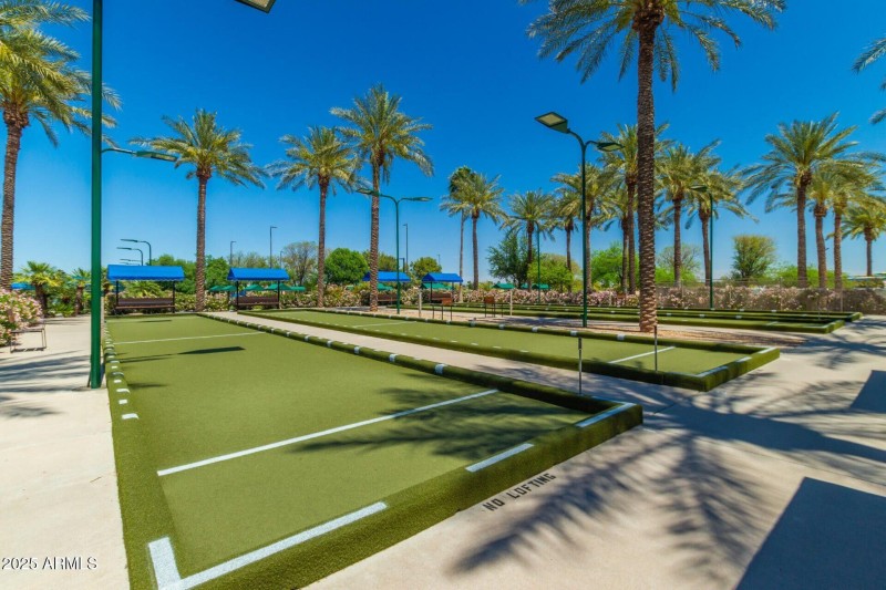Boccie ball court