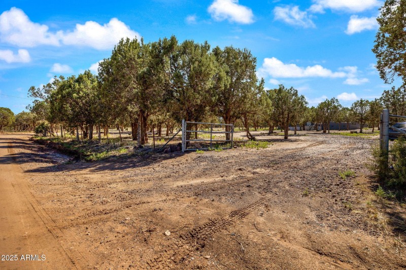 1854TurkeyLakeRd-ShowLow-AZ-3