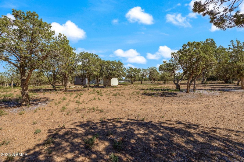 1854TurkeyLakeRd-ShowLow-AZ-27