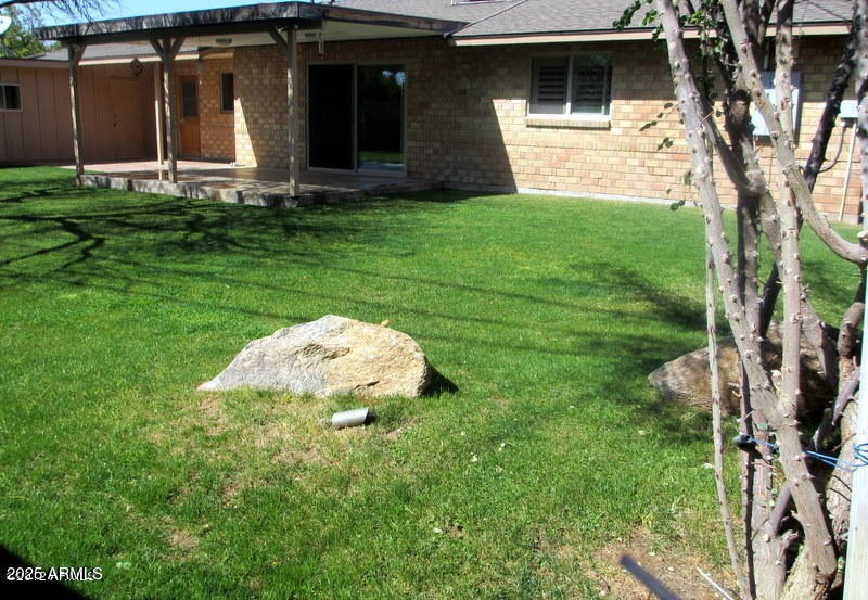 Nice Grassy Backyard