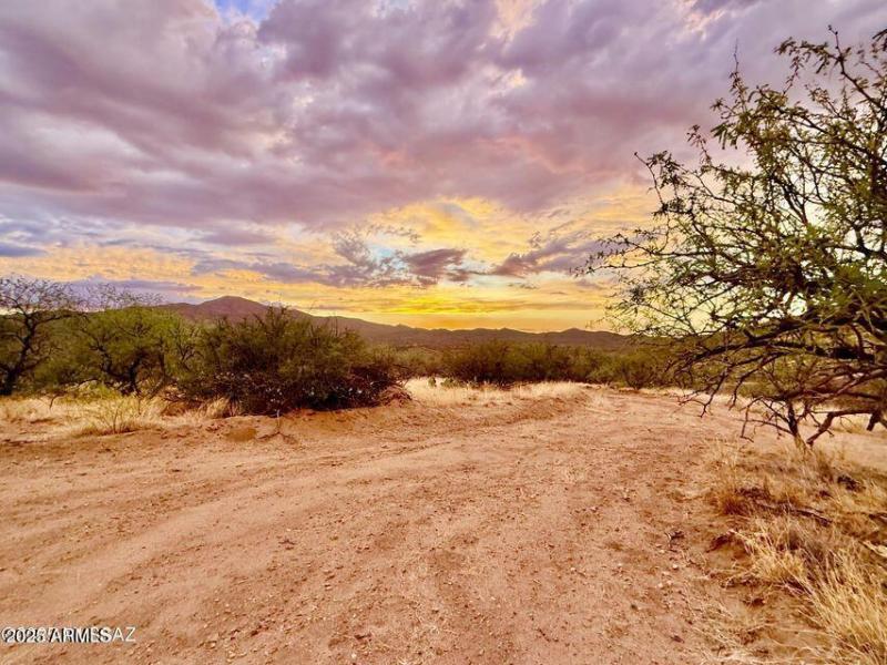 20250720080422748999000000-o (1)