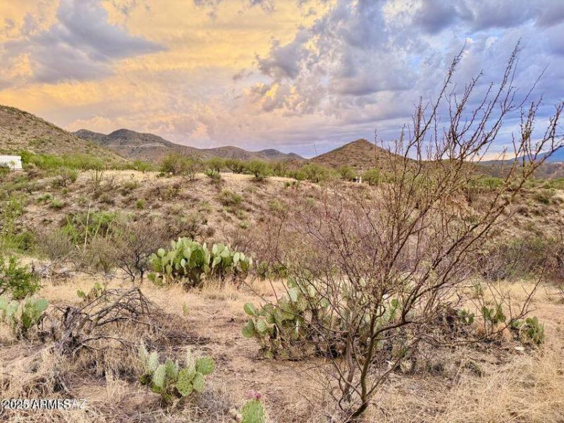 20250720080653341052000000-o (1)