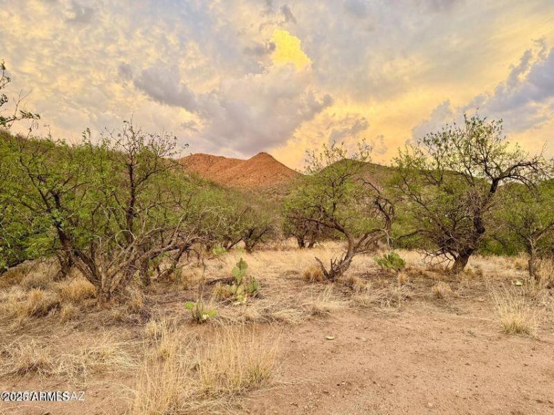 20250720081041205959000000-o (1)