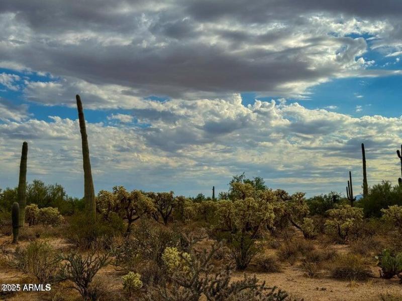 20251009155652160248000000-o (1)