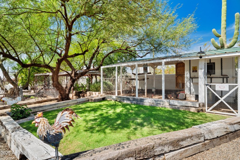 CHICKEN CONDO & GREENHOUSE!