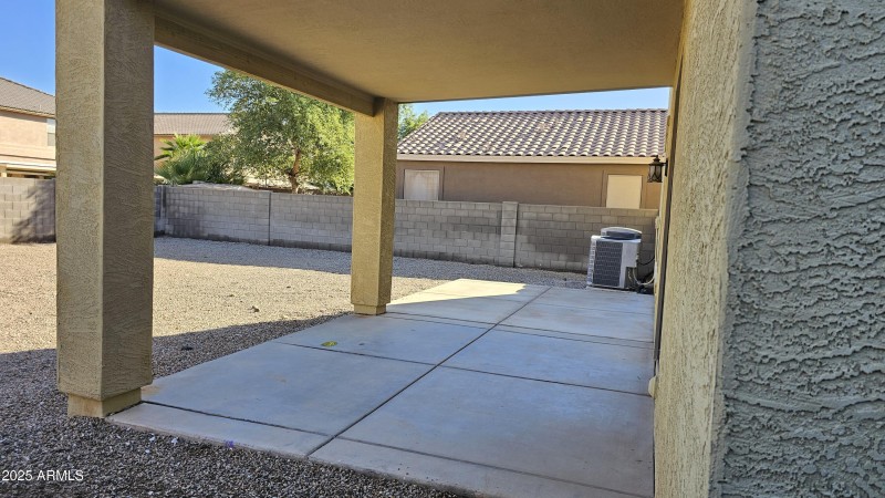 Back yard 3