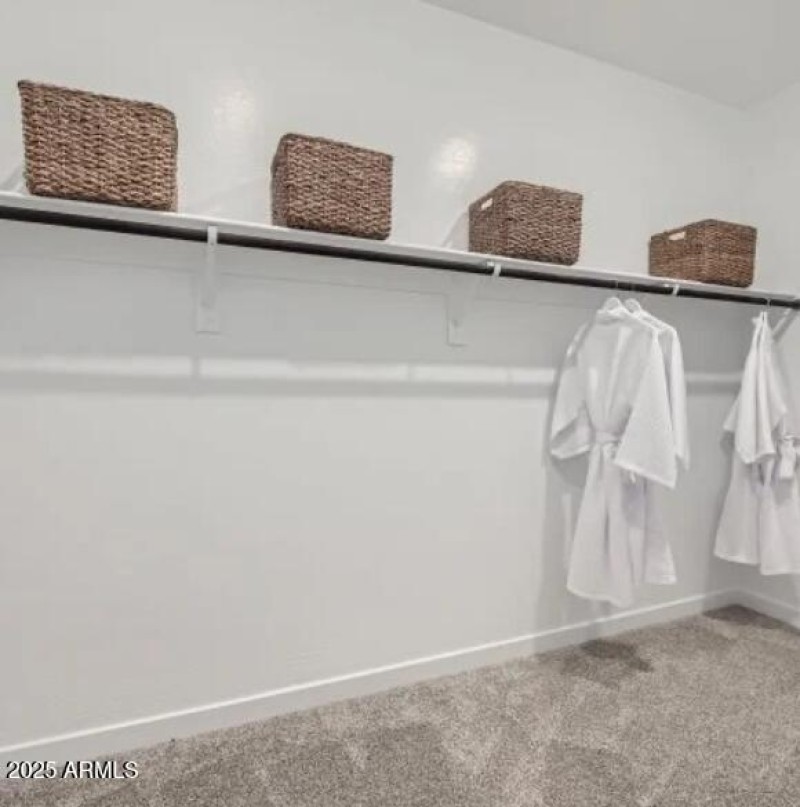 Owners Walk in Closet