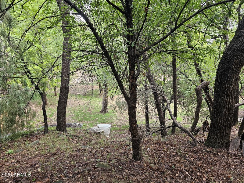 Whispering Pines Land