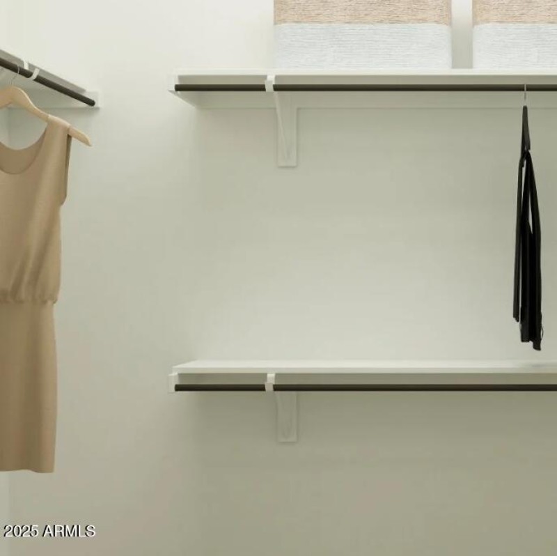 Owners Walk in Closet